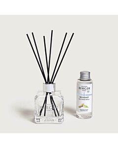 Maison Berger Sweet Grapefruit Scented Bouquet